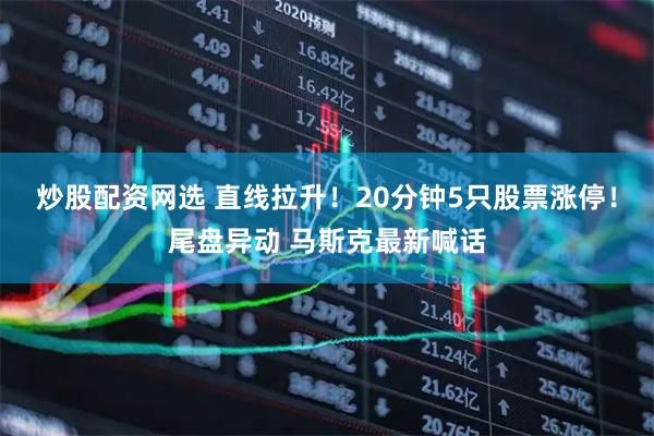 炒股配资网选 直线拉升！20分钟5只股票涨停！尾盘异动 马斯克最新喊话